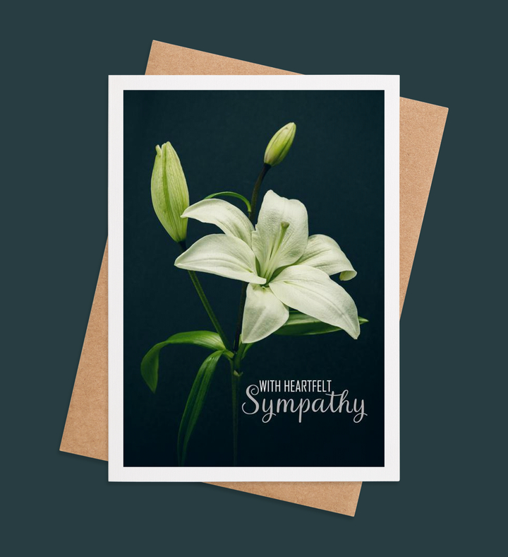 Elegance of Solace Greeting Card Image