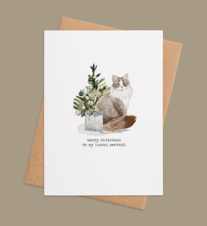 Purrfectly Superior Holiday 